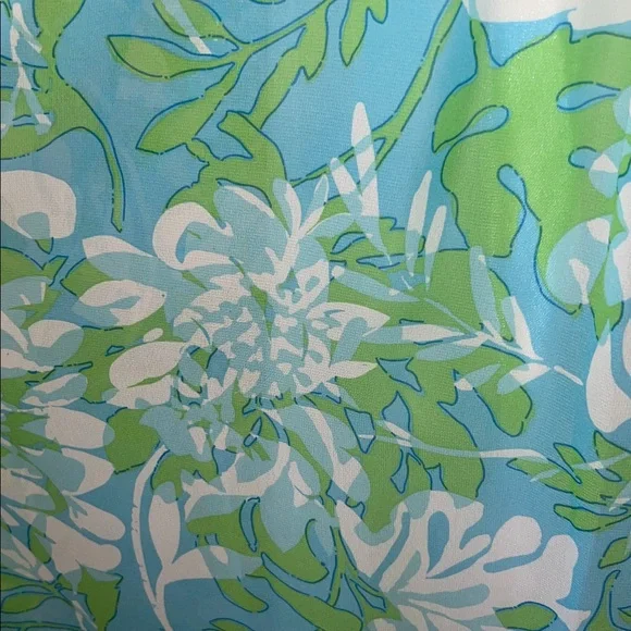 EUC Lilly Pulitzer Chiffon Maxi Ruffle Empire Waist Size 6 - Picture 11 of 16
